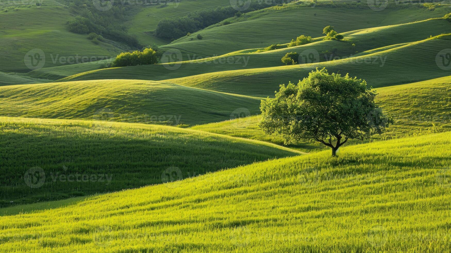 ai generato piccolo colline ornato con un' lussureggiante verde erba campo, della natura semplice bellezza, ai generato. foto