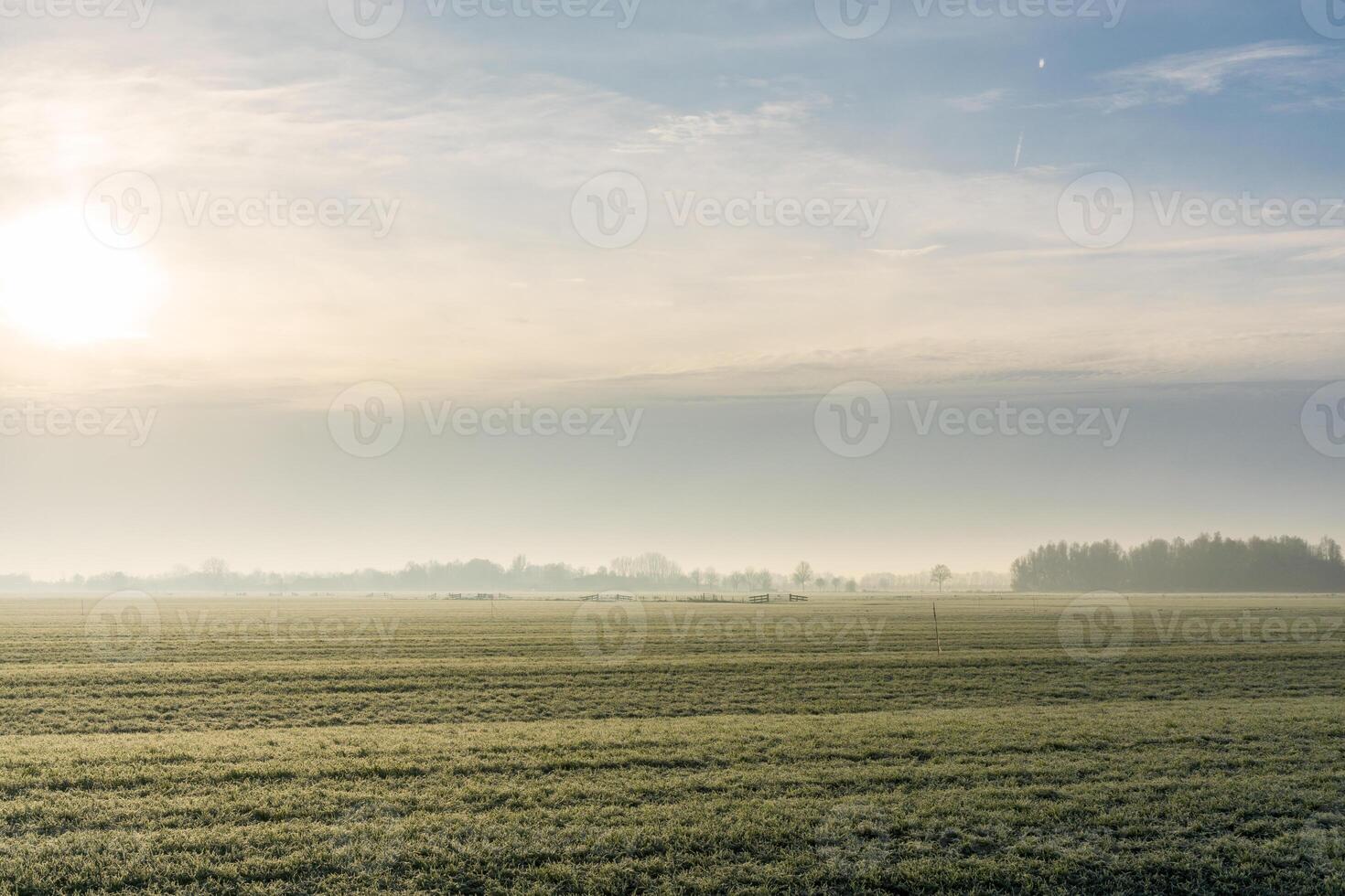 bellissimo agricolo erba terre su un' freddo e gelido inverno mattina, con il erba coperto nel congelato rugiada. foto
