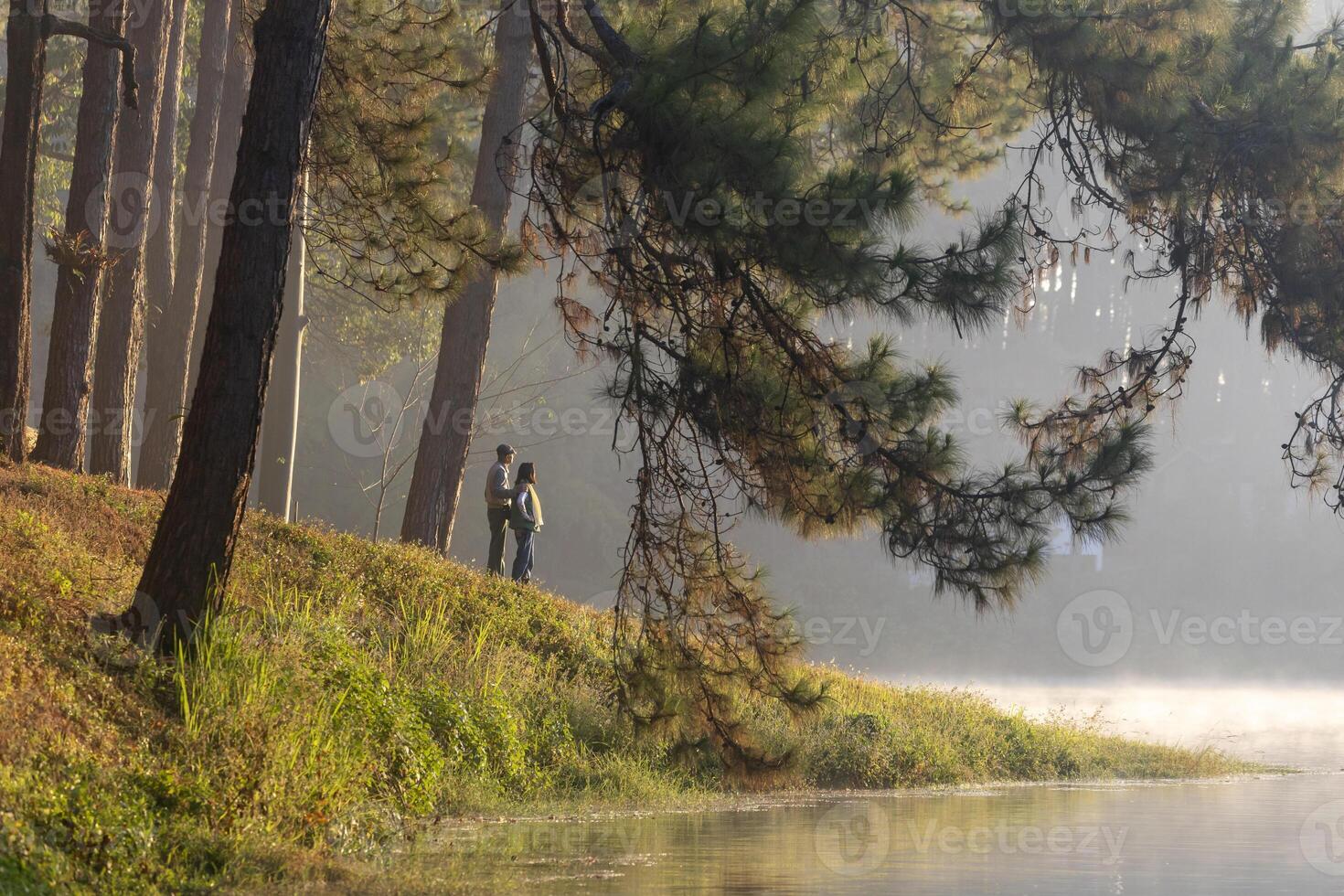 indietro Visualizza di anziano coppia Guardando Alba insieme nel il pino foresta dopo escursioni a piedi per amore, matrimonio e salutare lungo ultimo relazione bonding e longevità foto