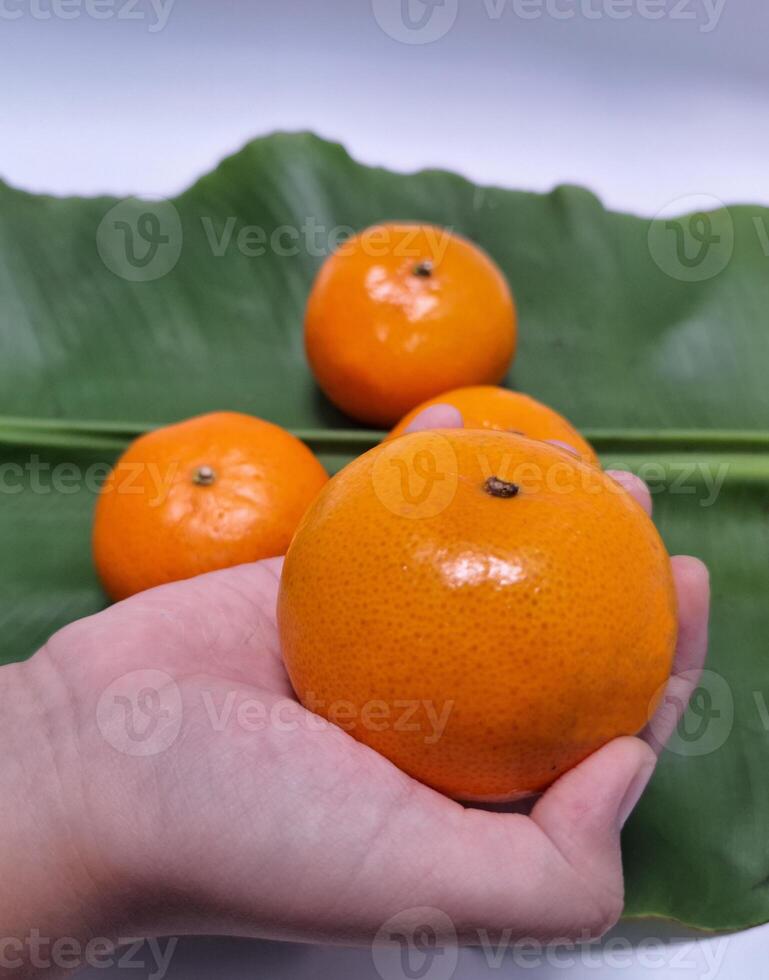 mage di frutta nel del bambino mano, arancia , isolato foto