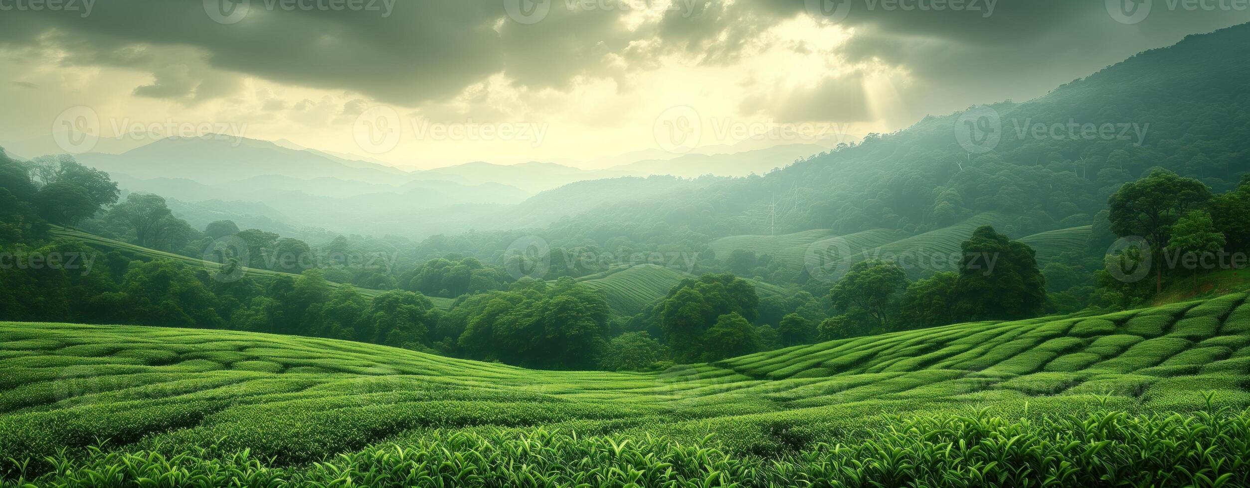 ai generato tè piantagione verde paesaggio nel il montagne foto