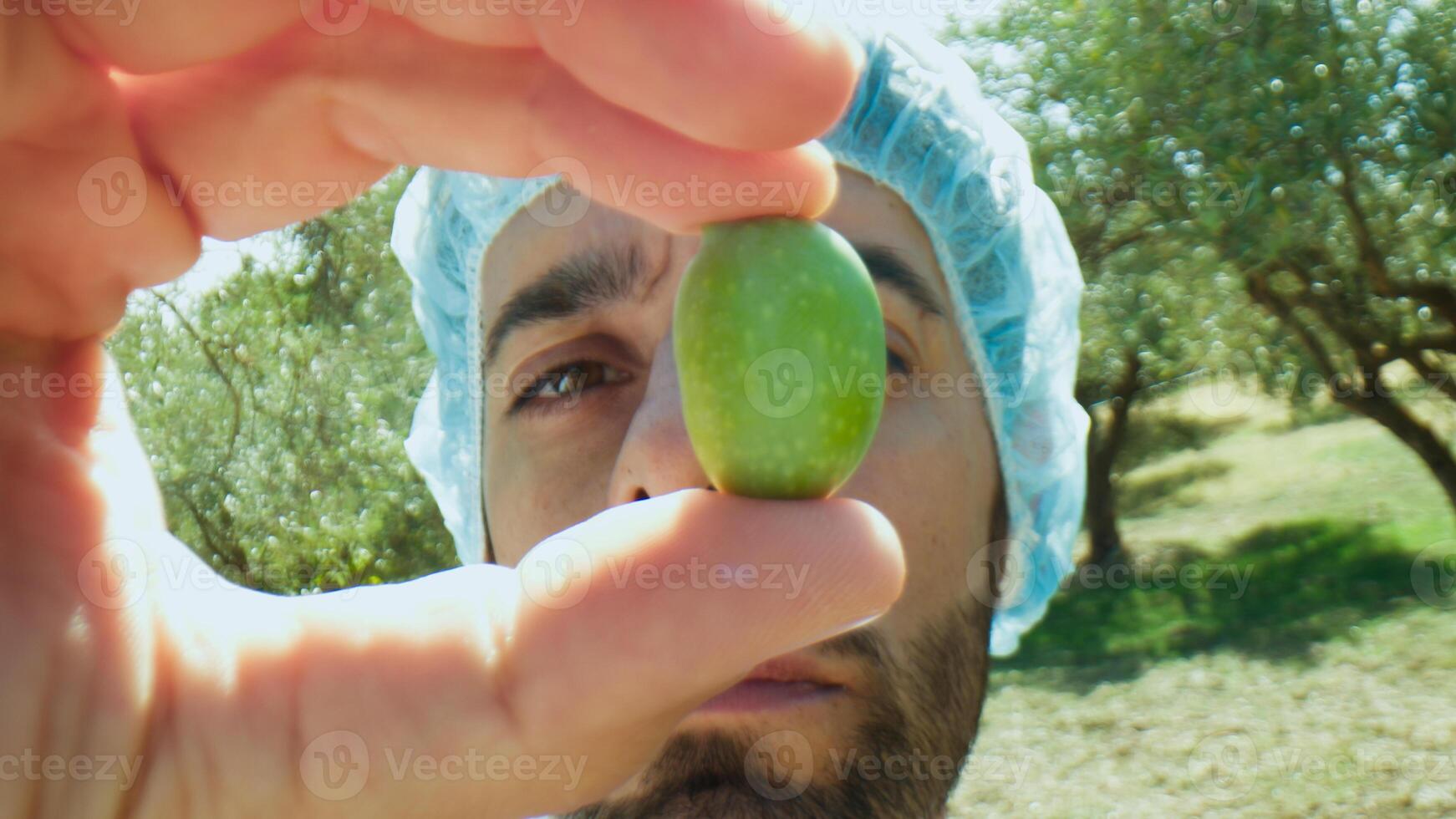 agronomo dare un' attento Guarda a un oliva per qualità dai un'occhiata foto