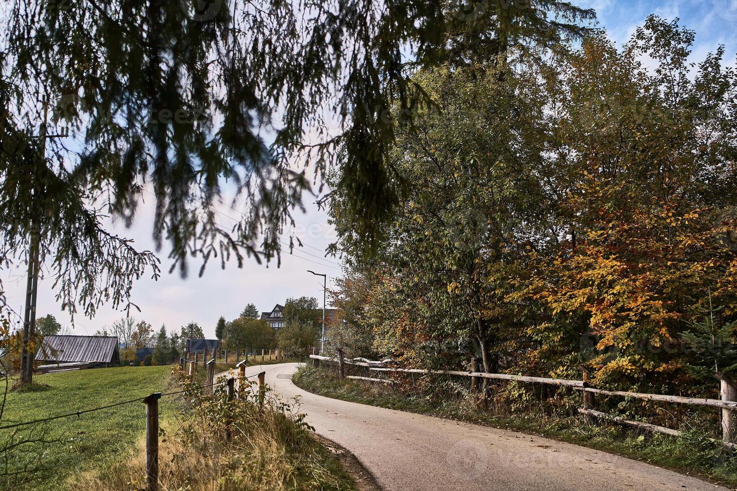 il strada curve nel il montagnoso rurale la zona foto