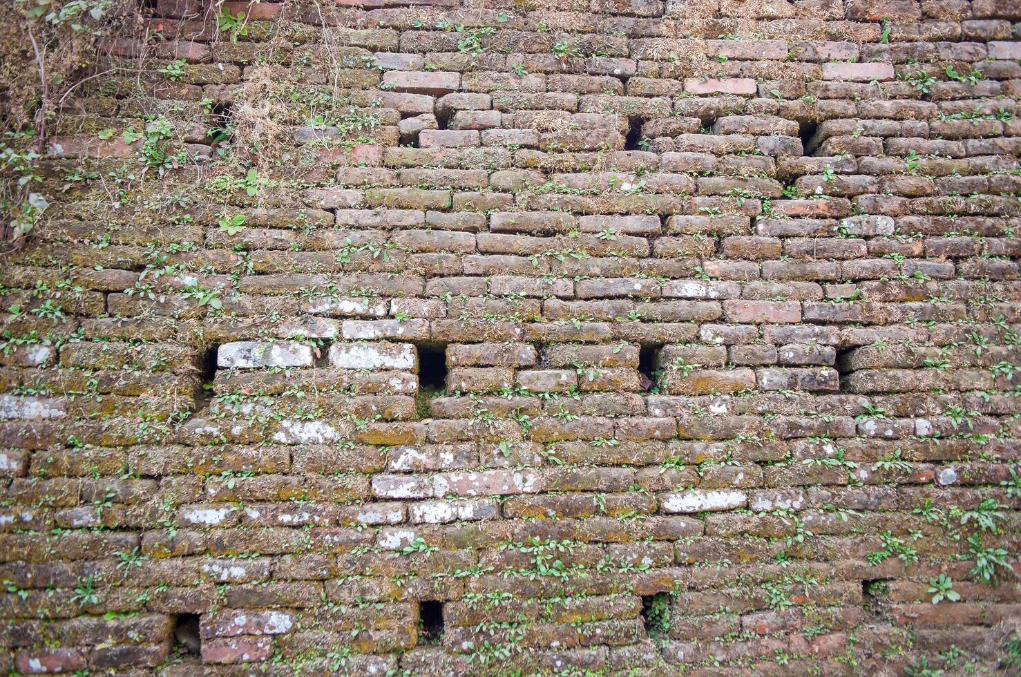 vecchia struttura della parete foto