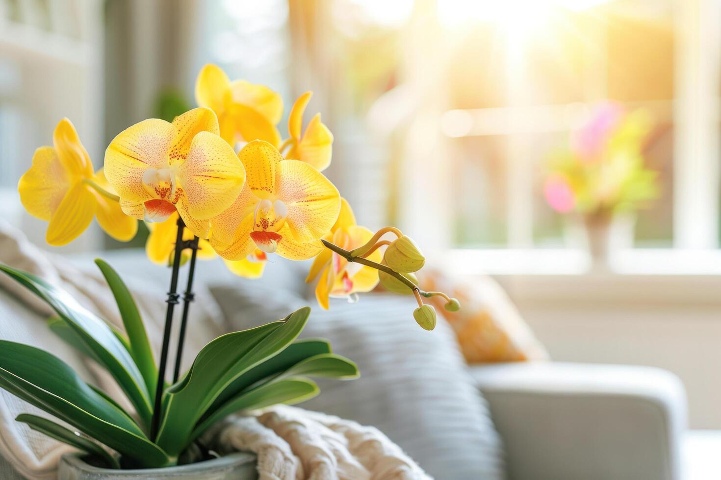 ai generato bellissimo giallo orchidea fiore avvicinamento nel il interno. indietro Visualizza di sfocato leggero sfondo di moderno vivente camera foto