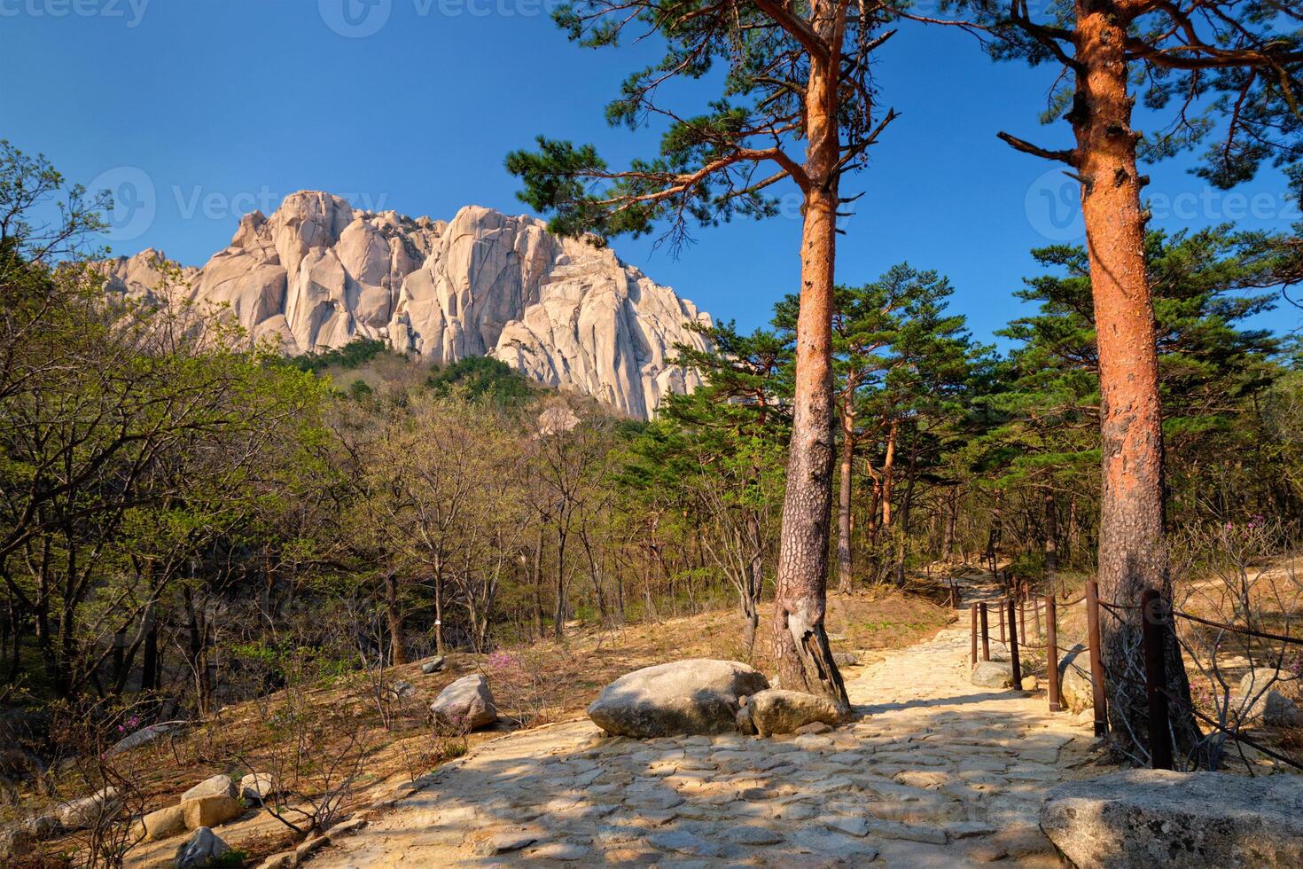 ulsanbawi roccia nel seoraksan nazionale parco, Sud Corea foto