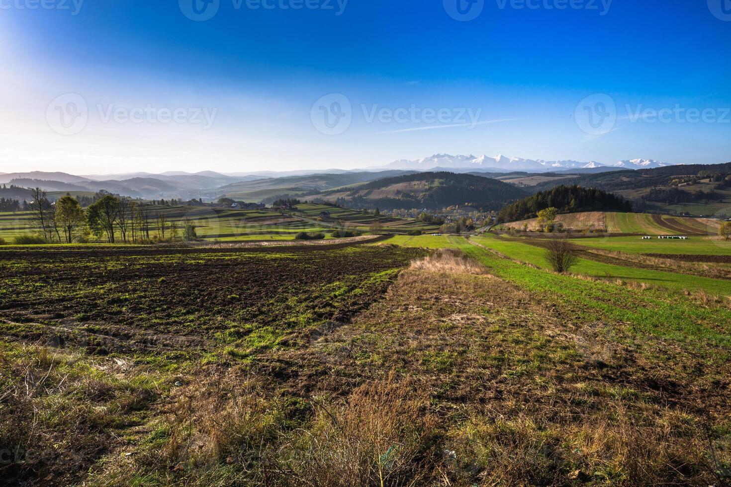 tatra montagne nel rurale scena, Polonia foto