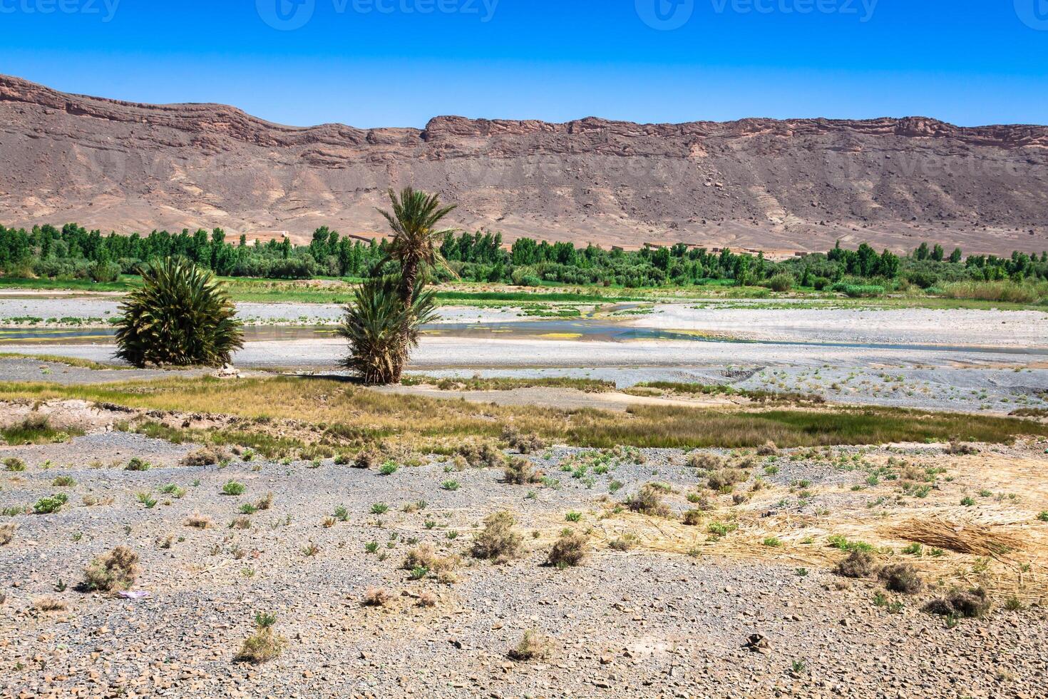 largo Visualizza di canyon e coltivato i campi e palme nel errachidia valle Marocco nord Africa Africa foto