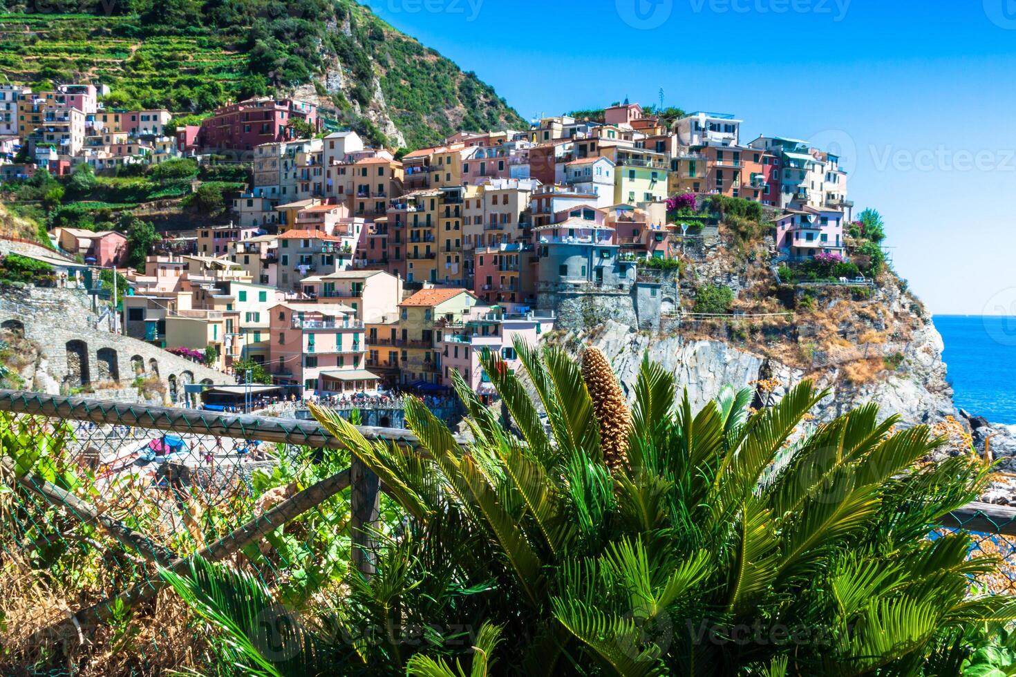 villaggio di Manarola con traghetto, cinque terre, Italia foto