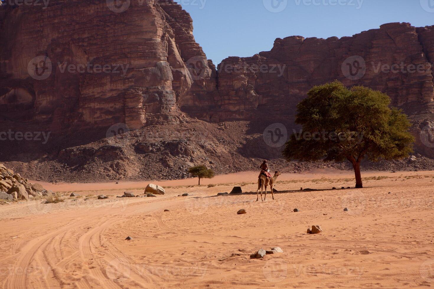 wadi Rum deserto nel Giordania. su il tramonto. panorama di bellissimo sabbia modello su il duna. deserto paesaggio nel Giordania. foto