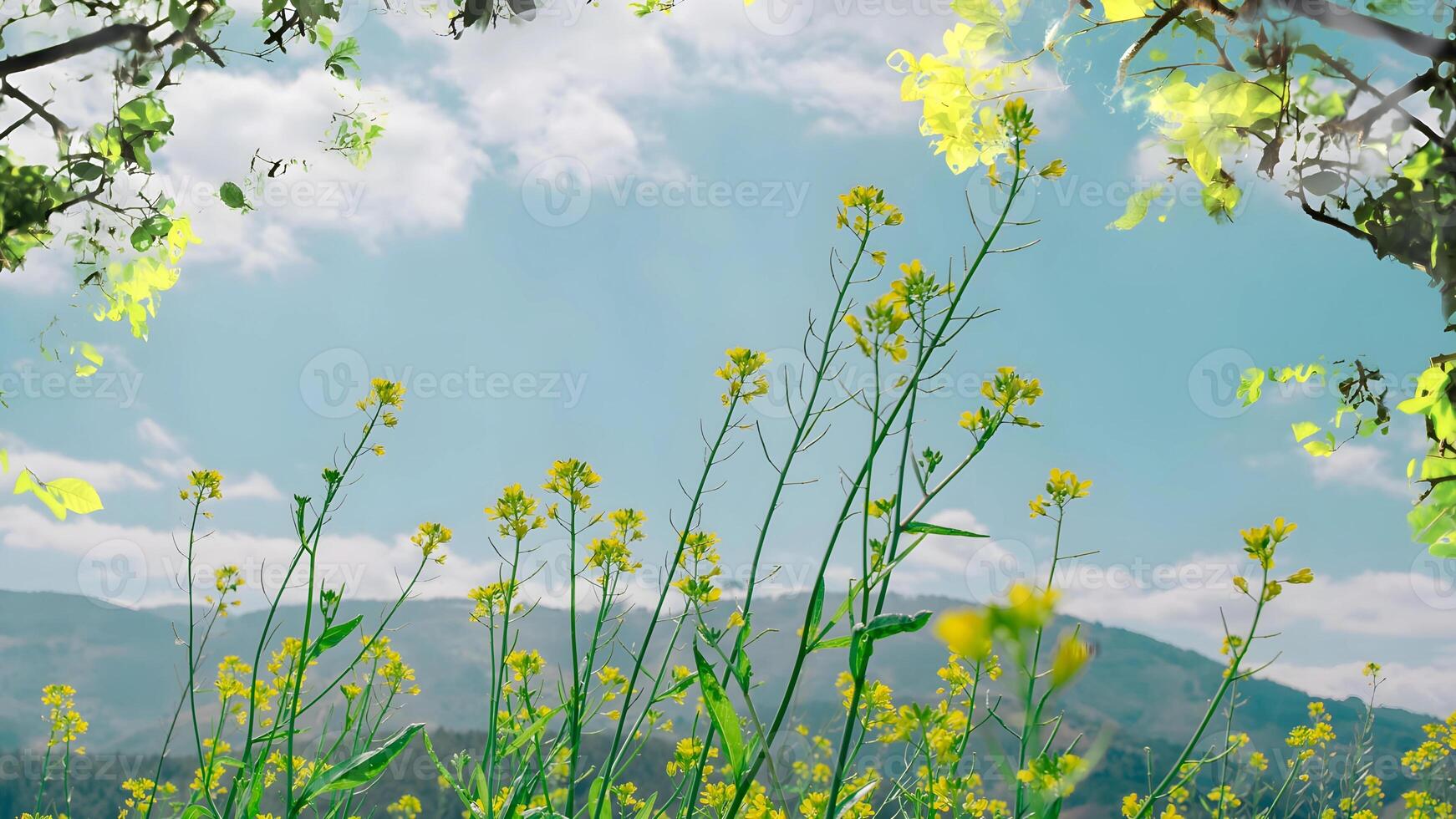 immergere te stesso nel il sereno bellezza di natura con Questo sbalorditivo vecteezy Immagine foto