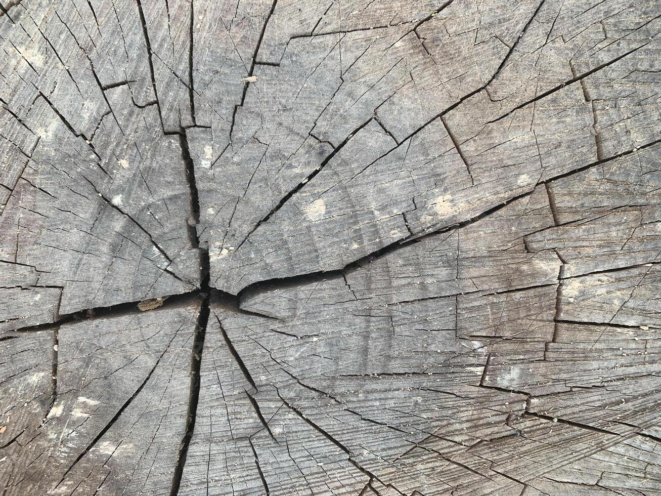 struttura di legno naturale foto