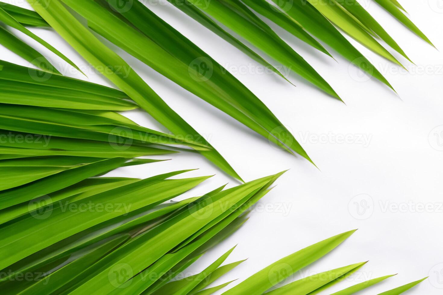 un' culinario odissea con il bellissimo pandan foglia, infusione delicato aromi e vivace verde tonalità in squisito piatti, elevando gusto profili con della natura fresco eleganza foto