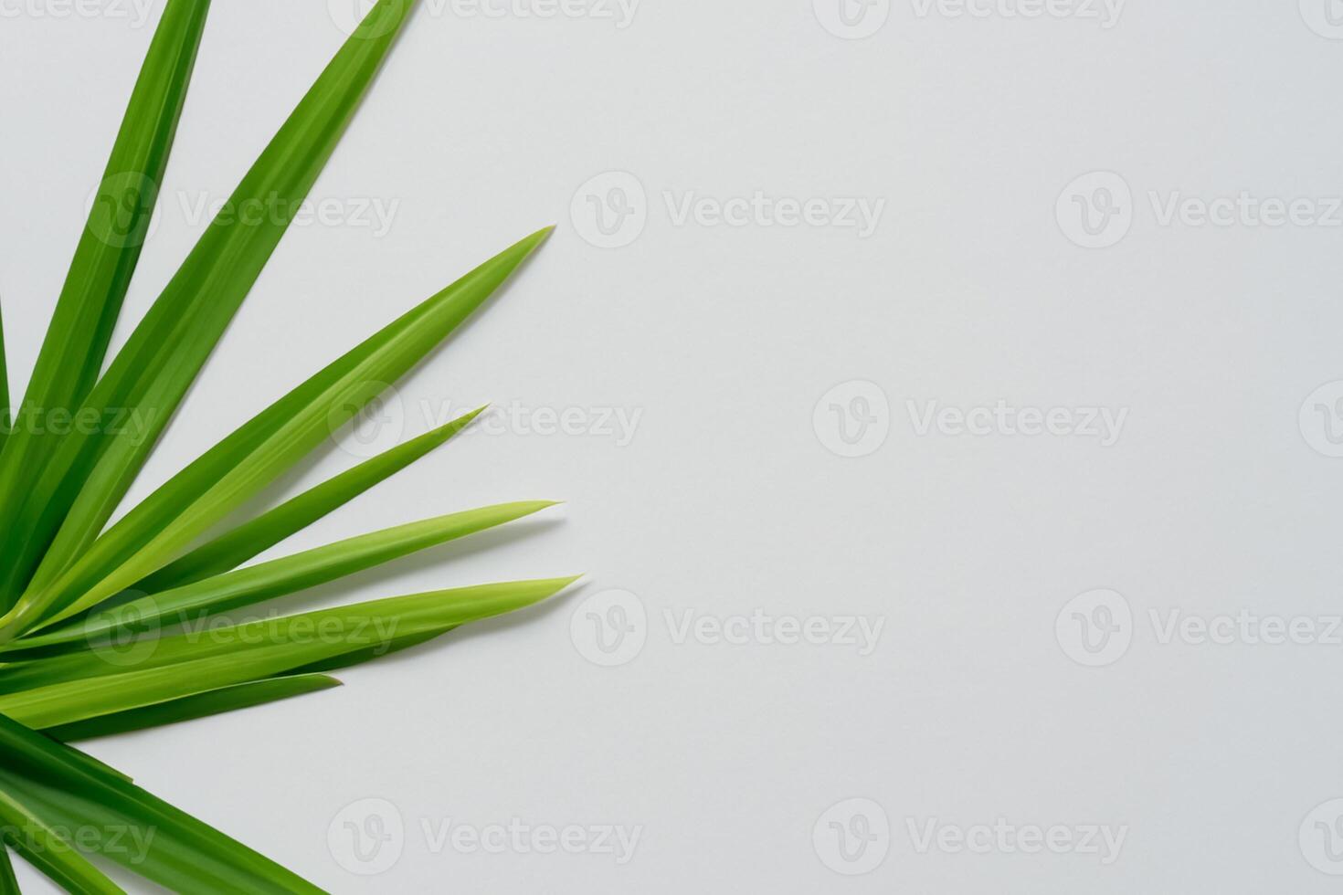 un' culinario odissea con il bellissimo pandan foglia, infusione delicato aromi e vivace verde tonalità in squisito piatti, elevando gusto profili con della natura fresco eleganza foto