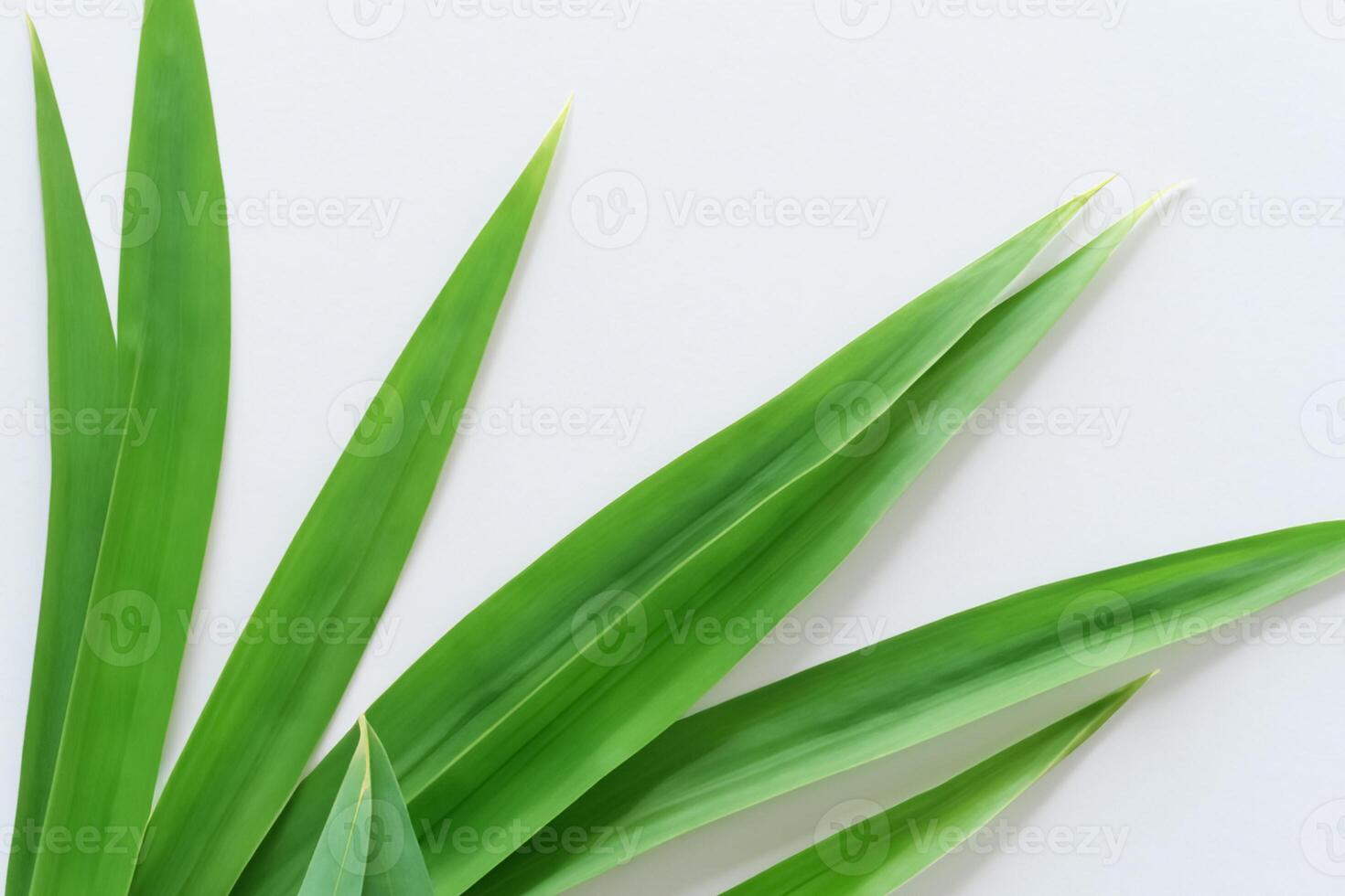 un' culinario odissea con il bellissimo pandan foglia, infusione delicato aromi e vivace verde tonalità in squisito piatti, elevando gusto profili con della natura fresco eleganza foto