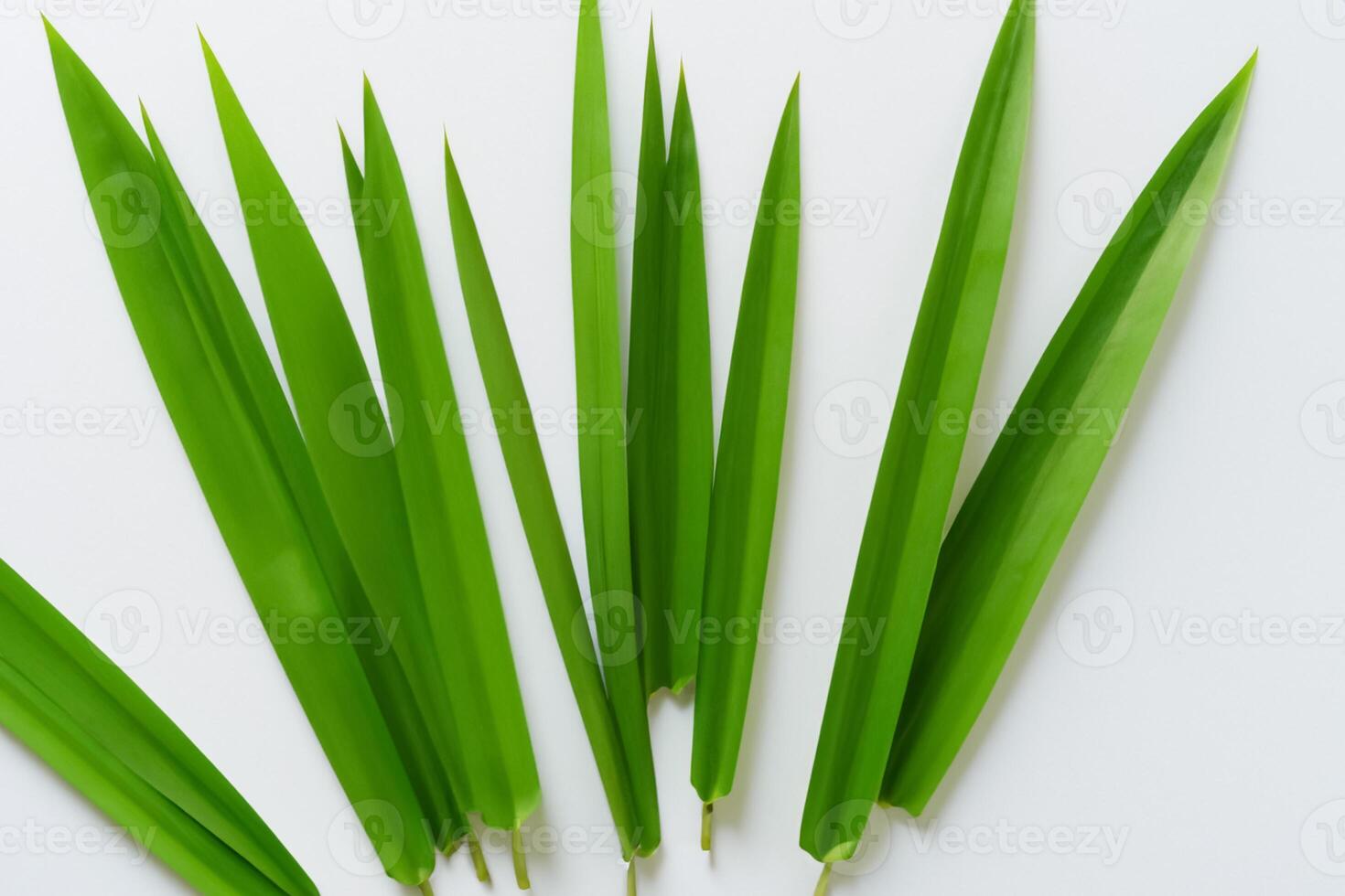 un' culinario odissea con il bellissimo pandan foglia, infusione delicato aromi e vivace verde tonalità in squisito piatti, elevando gusto profili con della natura fresco eleganza foto