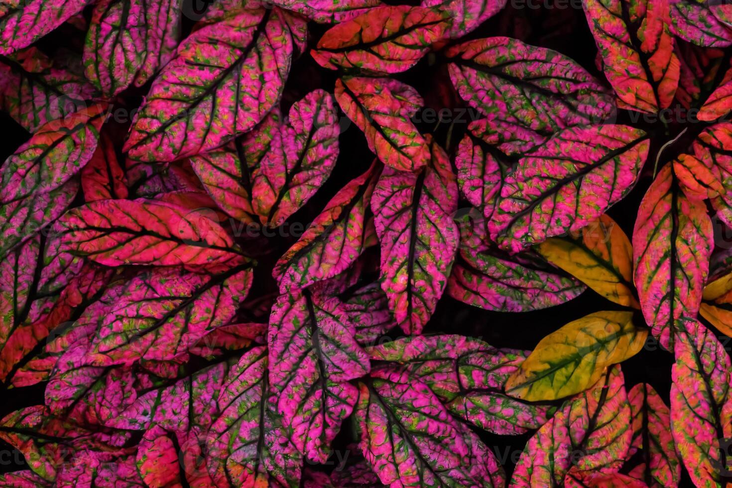 un' travolgente intravedere in il bellezza di della natura foglie, dove ogni vena racconta un' storia di vita, la creazione di un' tranquillo tela di botanico splendore e verde eleganza foto