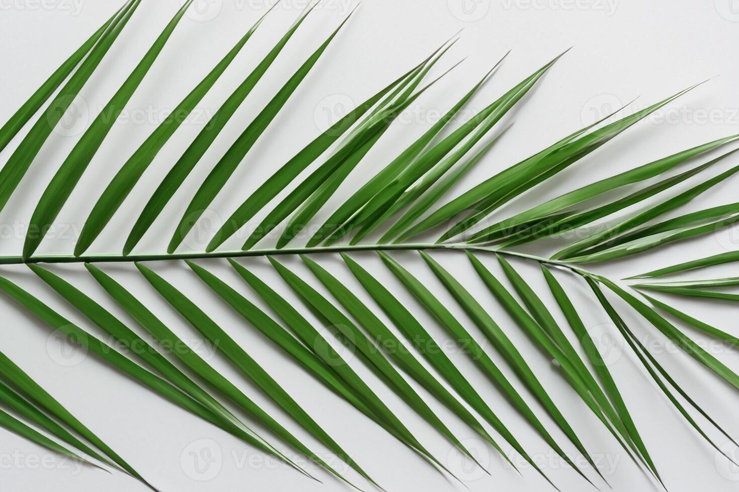 gozzovigliando nel il tropicale splendore di bellissimo palma foglie, dove baciato dal sole fronde ondeggiare nel della natura ritmo, lavorazione un' mozzafiato arazzo di esotico eleganza e infinito la tranquillità foto