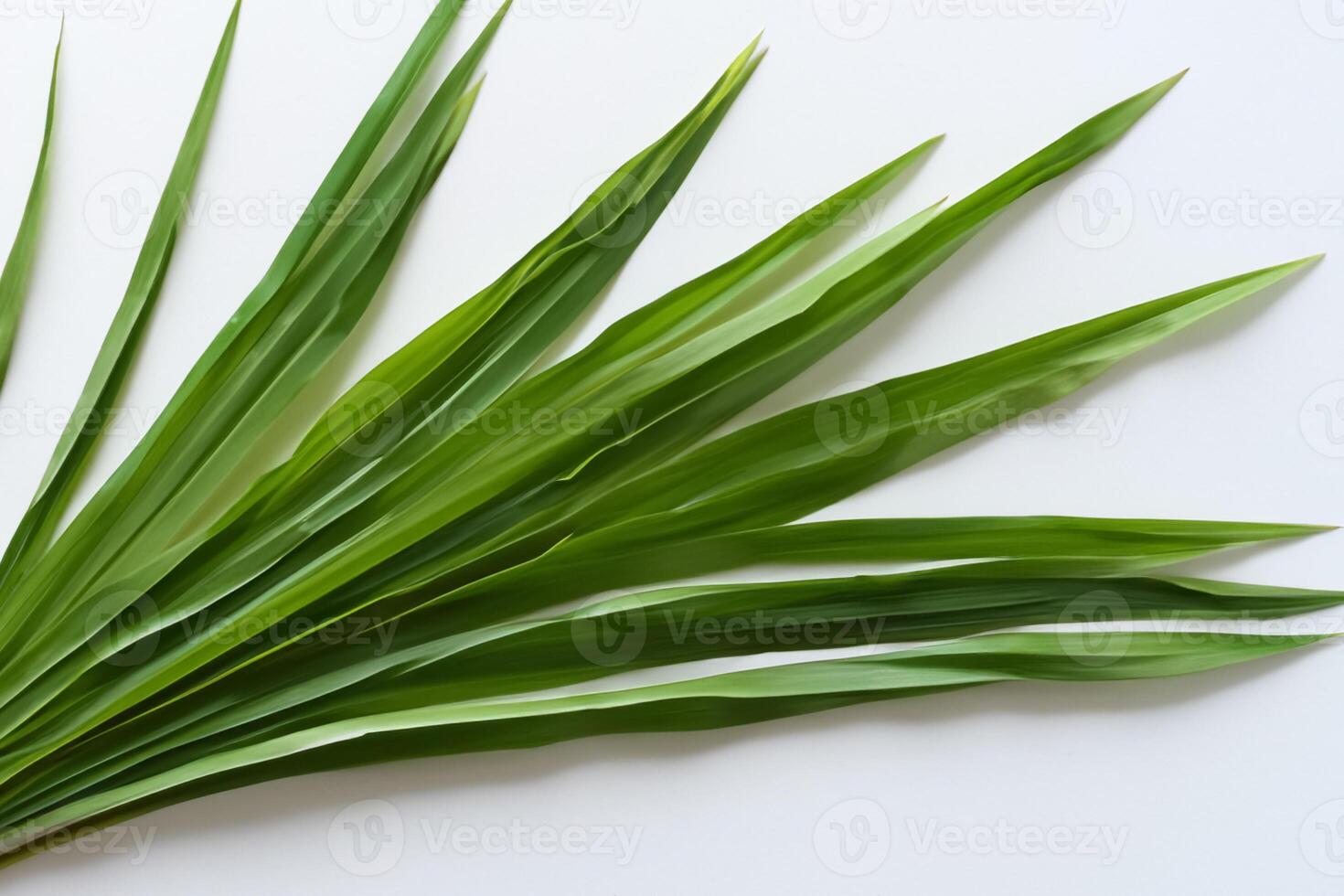 un' culinario odissea con il bellissimo pandan foglia, infusione delicato aromi e vivace verde tonalità in squisito piatti, elevando gusto profili con della natura fresco eleganza foto