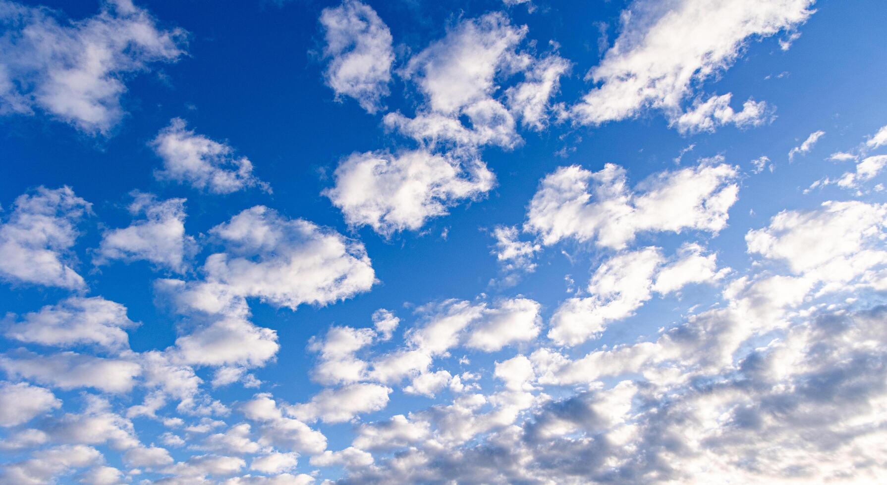 blu cielo mattina cielo su un' inverno mattina. foto