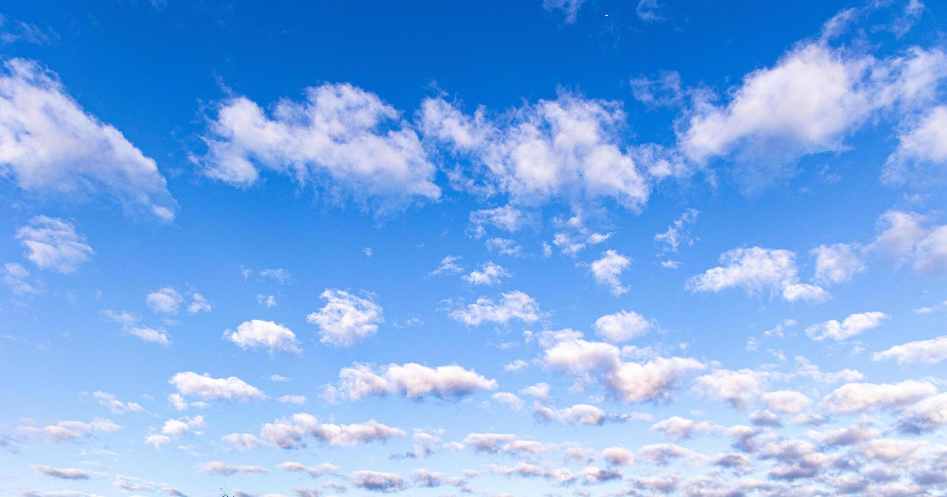 blu cielo mattina cielo su un' inverno mattina. foto