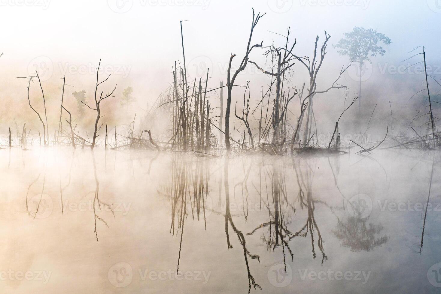 paesaggio di tung salaeng luang nazionale parco Phetchabun Provincia bellissimo natura di Alba e mattina nebbia nel il savana nel inverno stagione Tailandia. foto