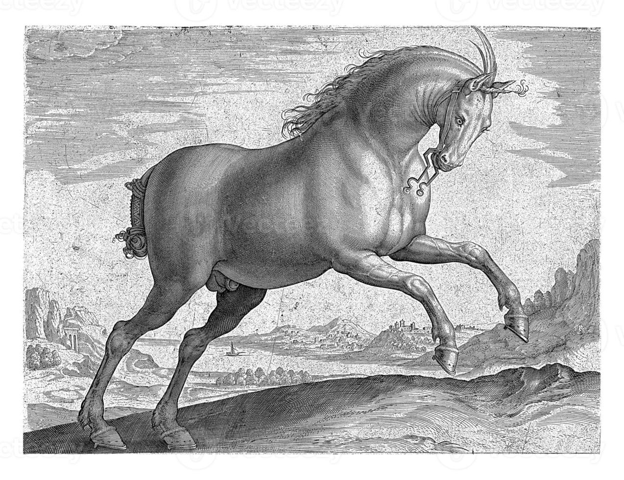 cavallo di il razza equus regio foto