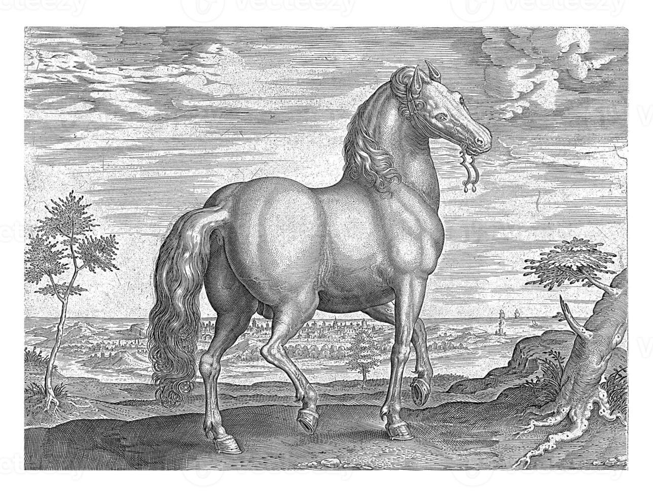 cavallo a partire dal sardegna, h. collaert attribuito a, dopo jan furgone der strada, c. 1578 - c. 1582 foto