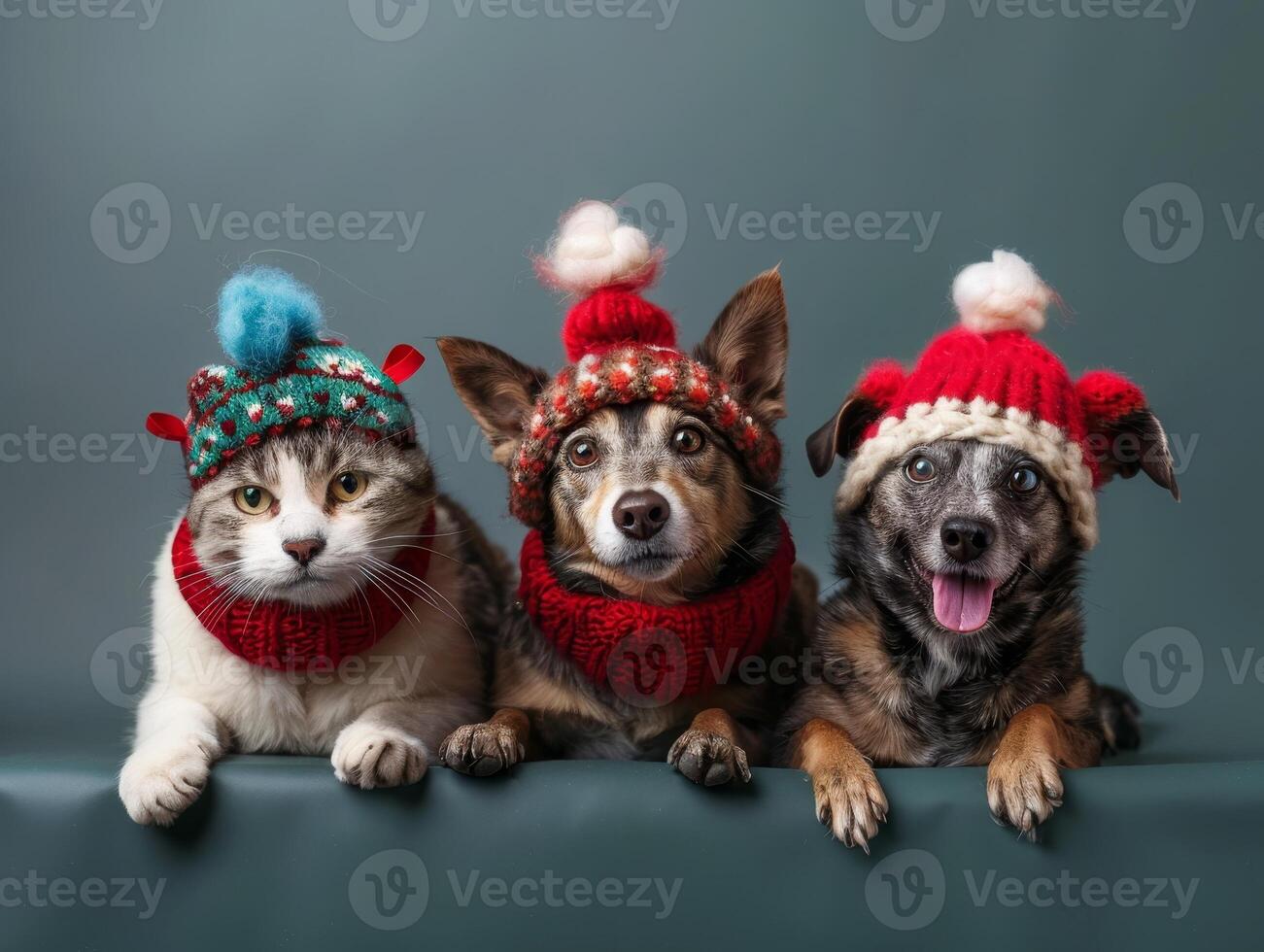 ai generato cani e gatti indossare festivo Accessori per nazionale animale domestico giorno, carino e allegro foto