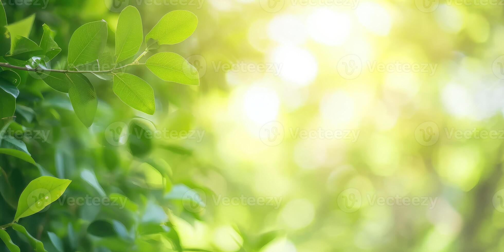 ai generato bellissimo natura Visualizza di verde foglia su sfocato verdura sfondo nel giardino e luce del sole con copia spazio foto