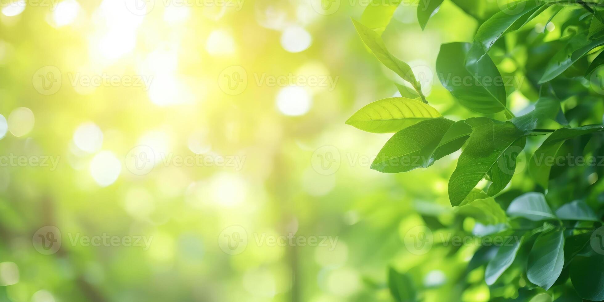 ai generato bellissimo natura Visualizza di verde foglia su sfocato verdura sfondo nel giardino e luce del sole con copia spazio foto