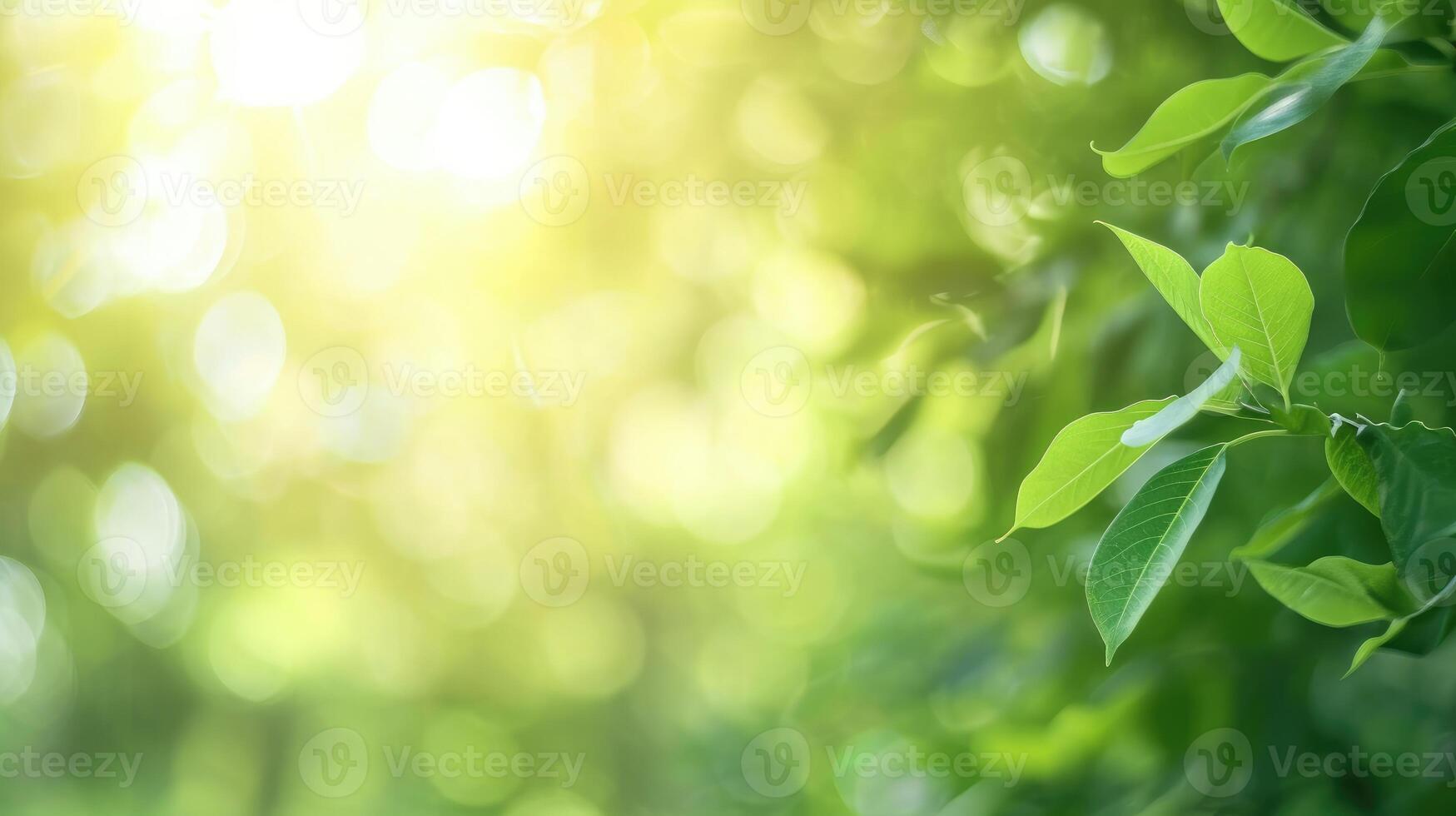 ai generato bellissimo natura Visualizza di verde foglia su sfocato verdura sfondo nel giardino e luce del sole con copia spazio foto