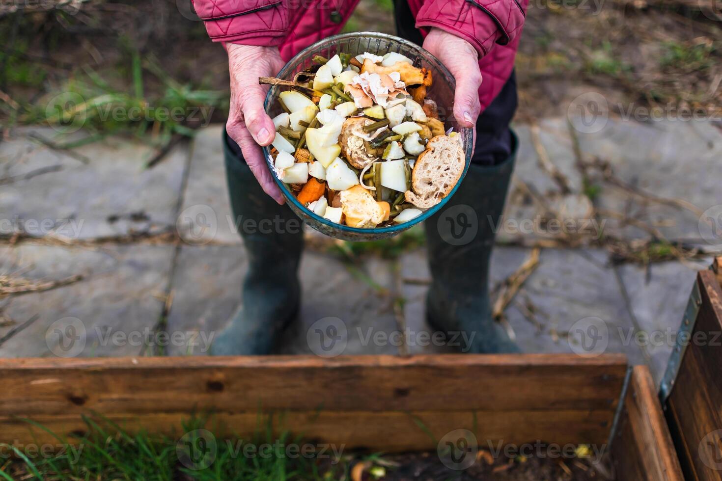 persona chi mettere nel un' composter alcuni cucina rifiuto piace la verdura, frutta, guscio d'uovo, caffè motivo nel ordine per ordinare e rendere bio fertilizzante foto