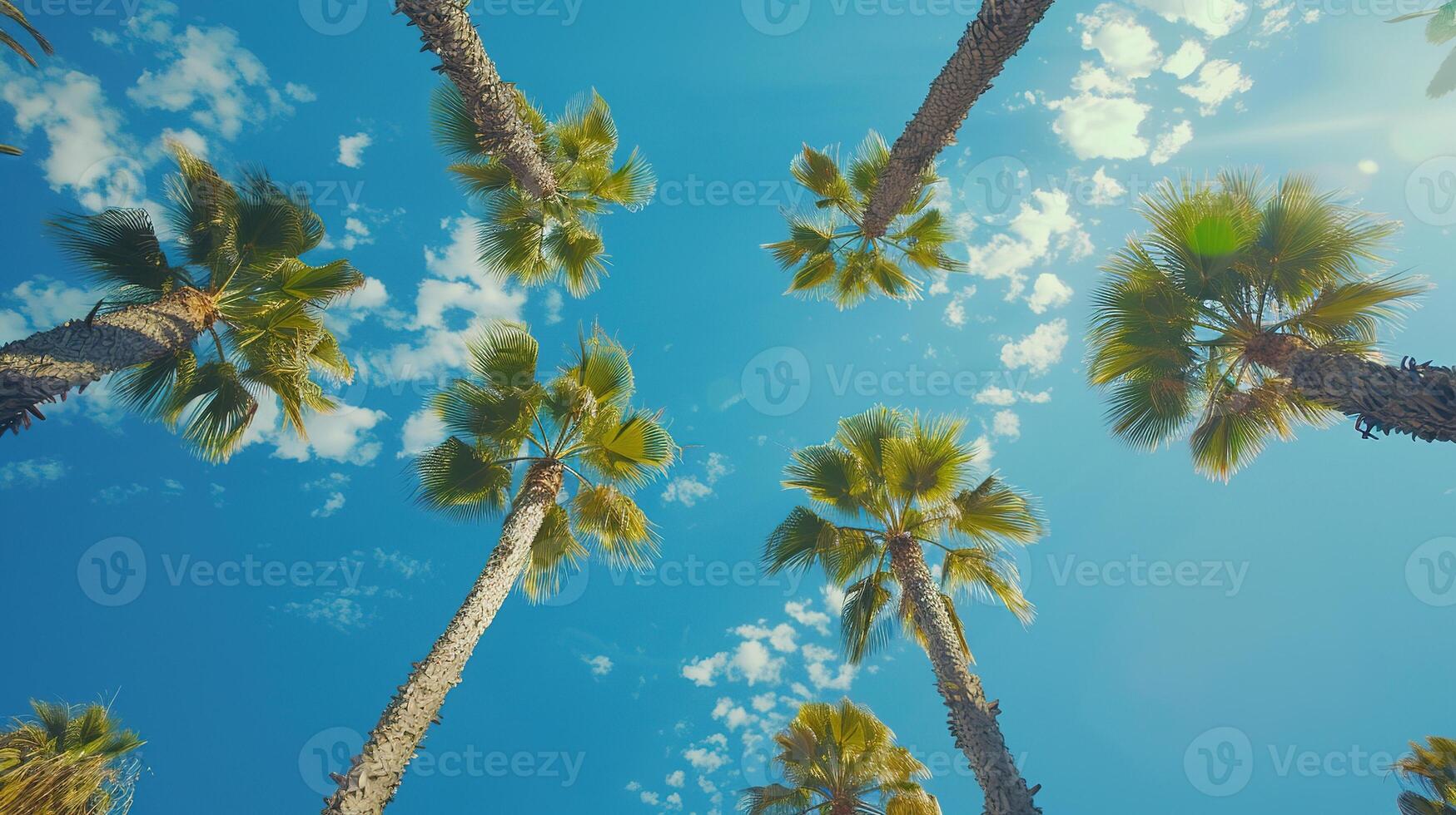 ai generato blu cielo e palma albero. spiaggia, estate, vacanza, viaggiare, tropicale, mare, vacanza, isola, nube, giorno foto