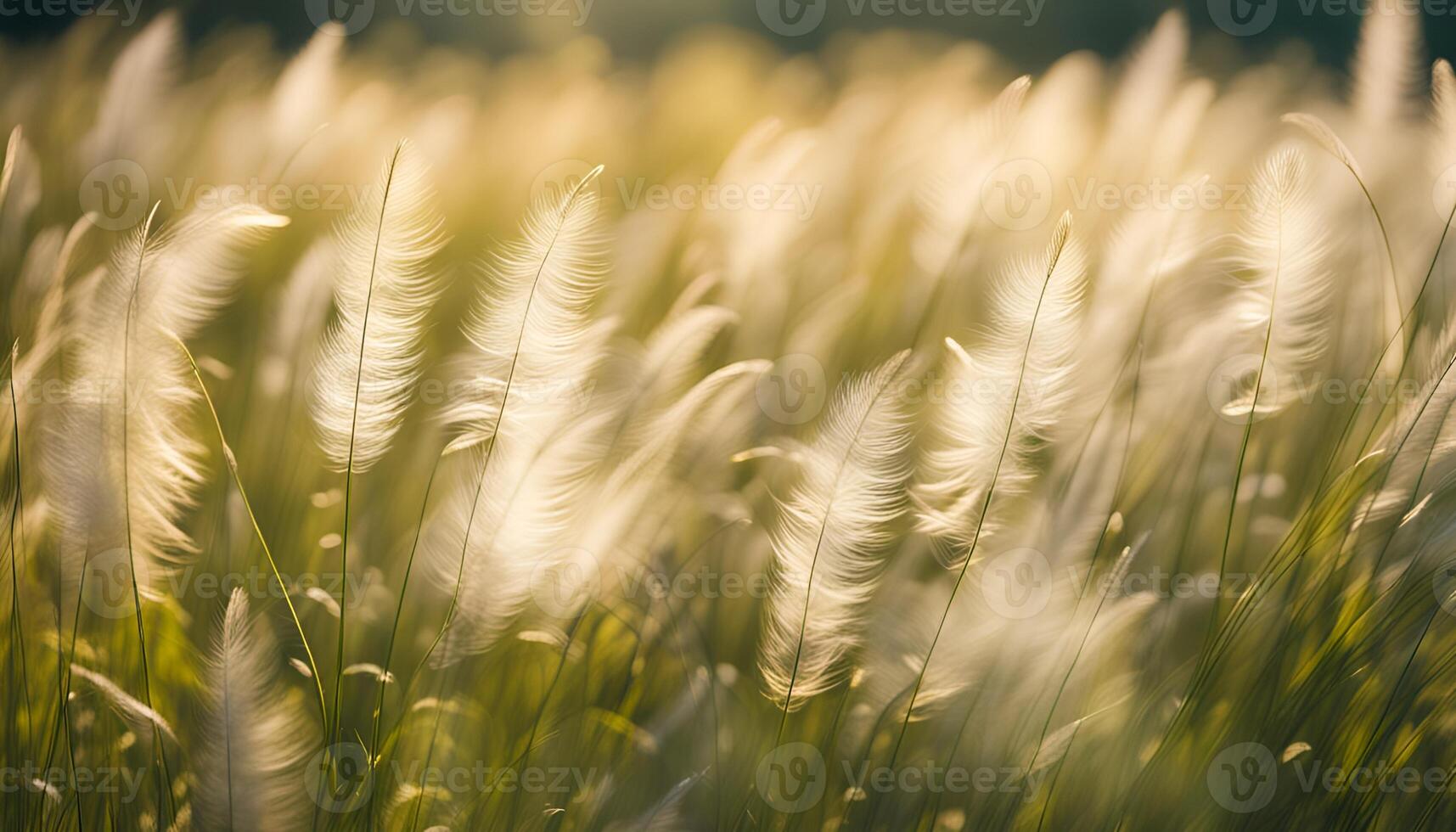 ai generato piuma erba su il estate prato. Bellissima, magico, astratto sfondo di erba nel il estate prato. piuma erba svolazzanti nel il vento. foto