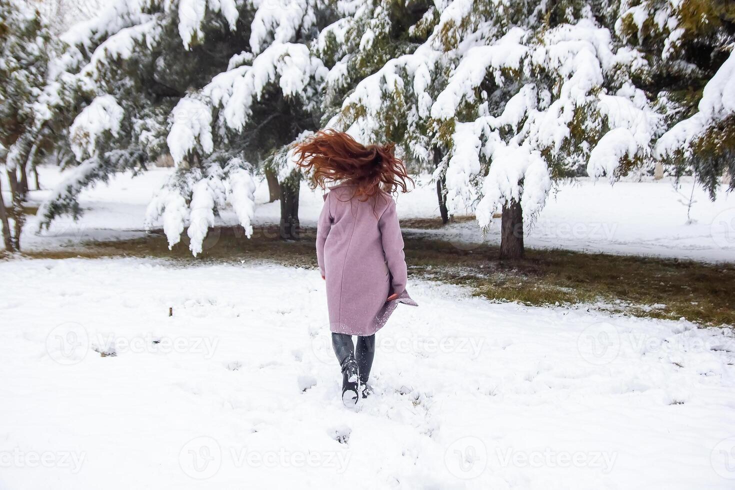 bella giovane donna nel inverno parco, rosso dai capelli ragazza nel il parco nel inverno foto