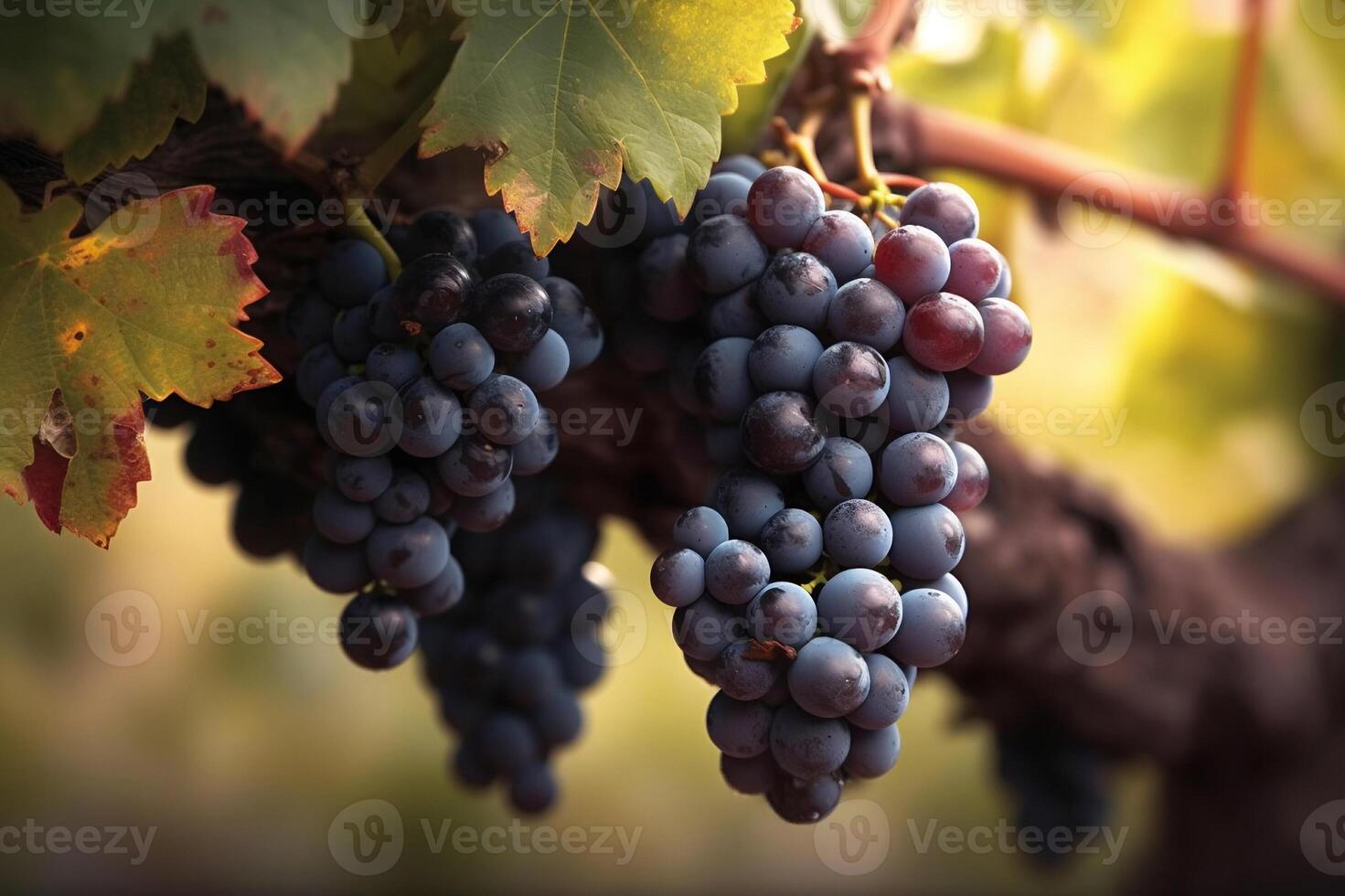 ai generato vecchio vite con rosso vino uva. creato con generativo ai foto