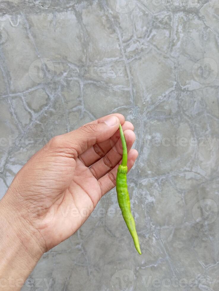 mano Tenere verde peperoncini con un' parete nel il sfondo foto