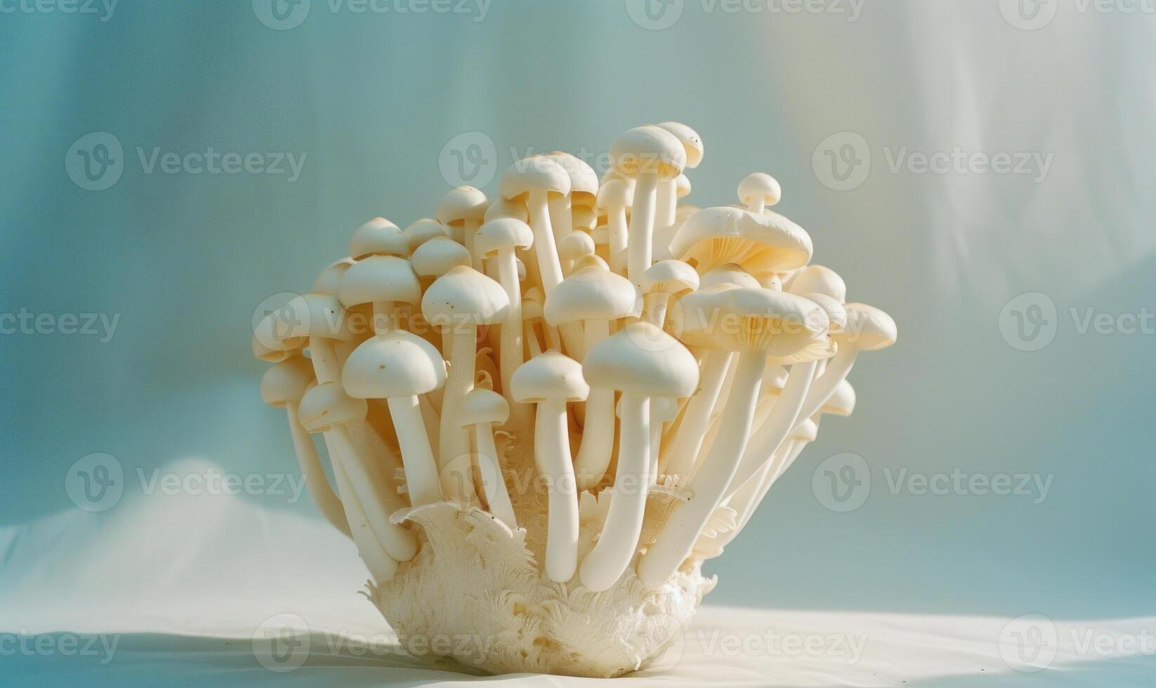 ai generato bianca shimeji funghi su bianca sfondo. shimeji funghi foto