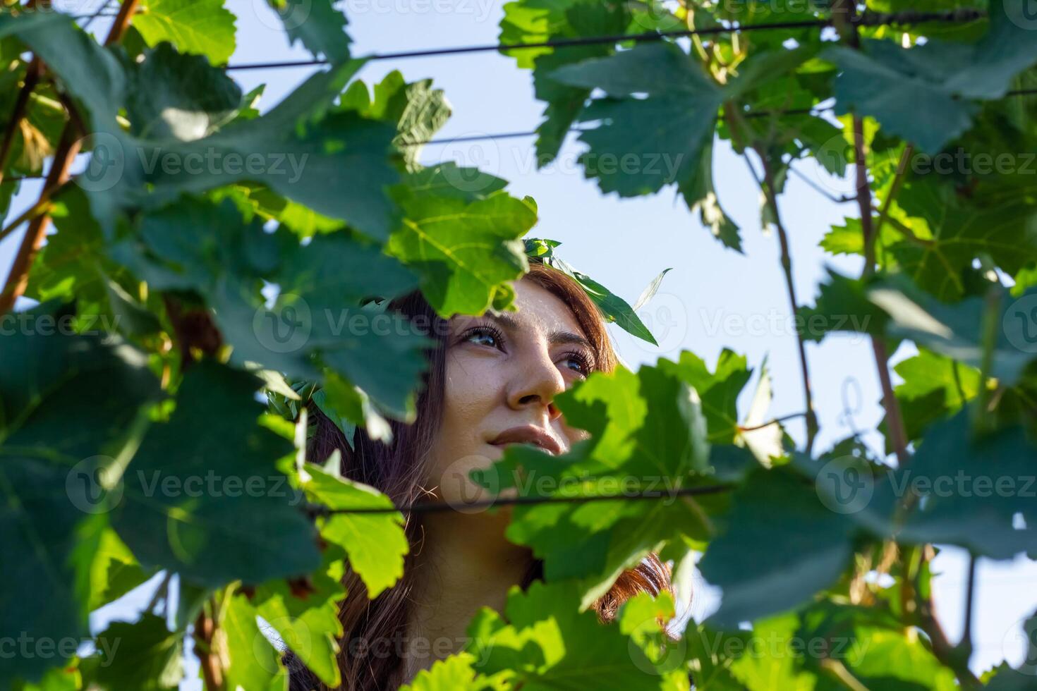 bella giovane donna nel il natura foto