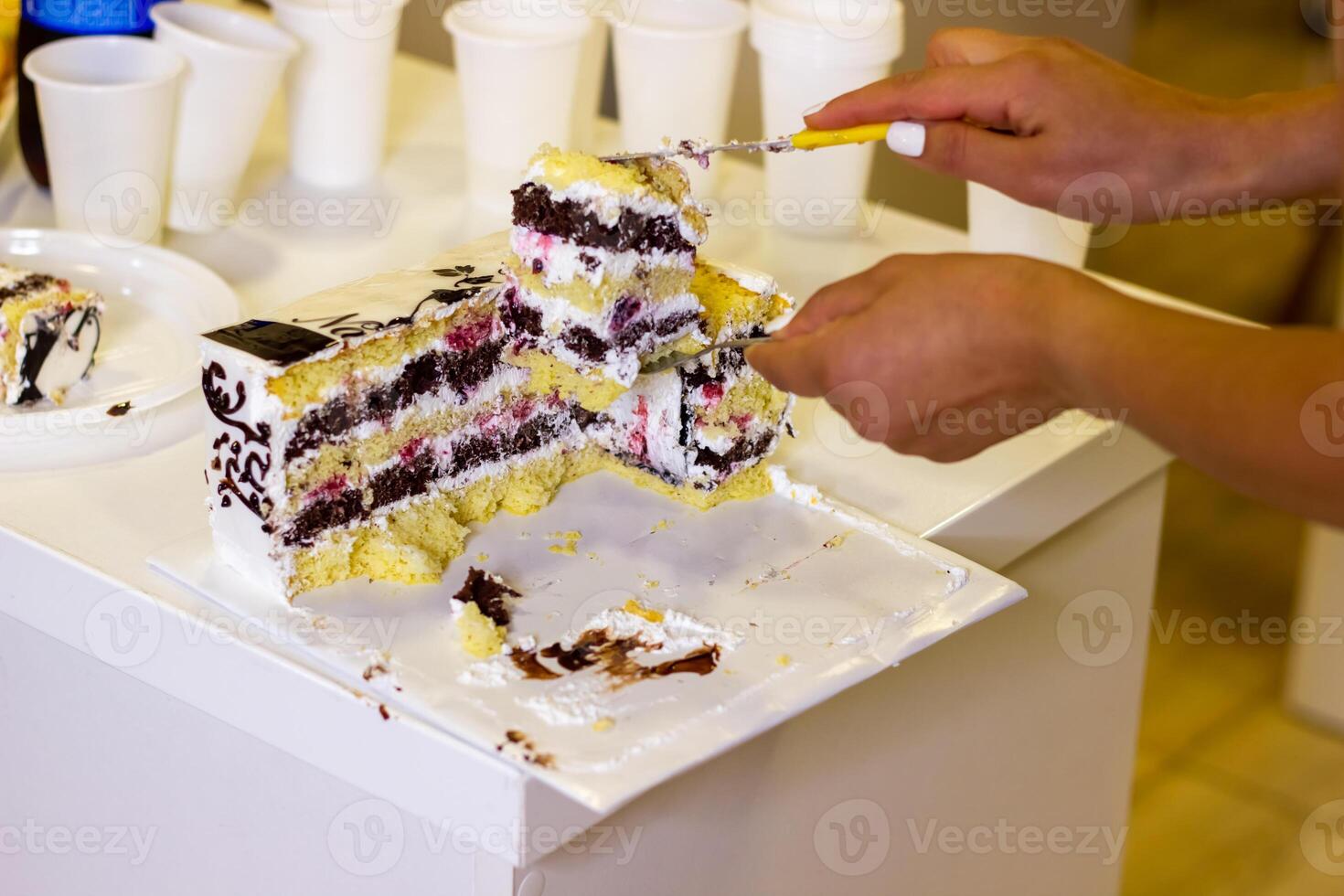 cioccolato torta su il tavolo, cioccolato torta su un' piatto foto