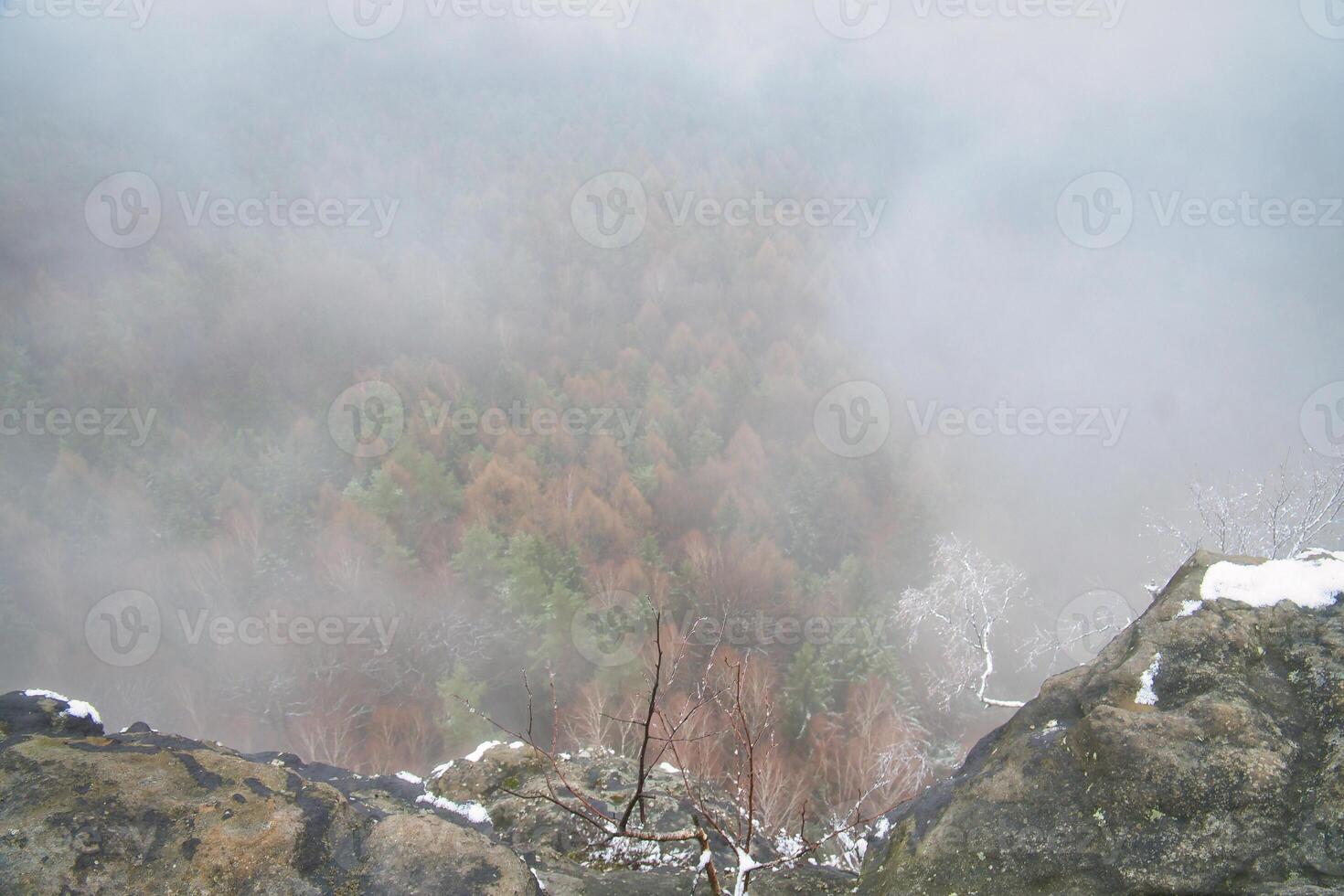 Visualizza a partire dal il grande zschirnstein in il valle di colorato conifere attraverso nebbia foto