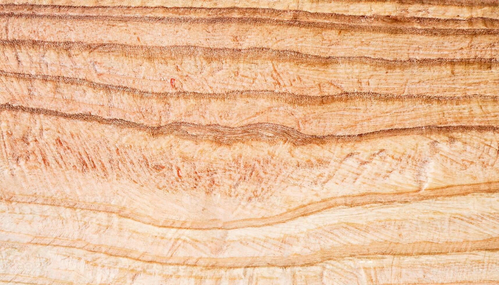 macro foto di pioppo tavola superficie con legna struttura