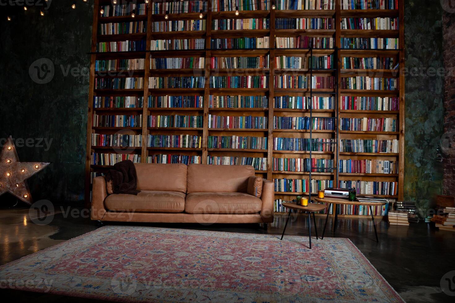 libreria nel il biblioteca. grande libreria con molte di libri. divano nel il camera per lettura libri. biblioteca o negozio con librerie. accogliente libro sfondo. libresco, libreria, libreria. foto