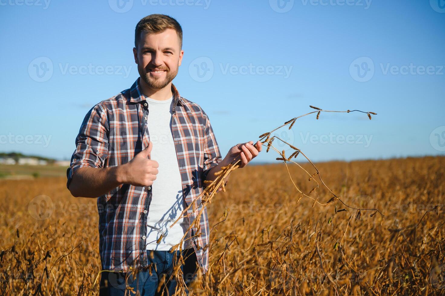 agronomo ispezionando soia fagiolo colture in crescita nel il azienda agricola campo. agricoltura produzione concetto. giovane agronomo esamina soia Ritaglia su campo nel estate. contadino su soia campo foto