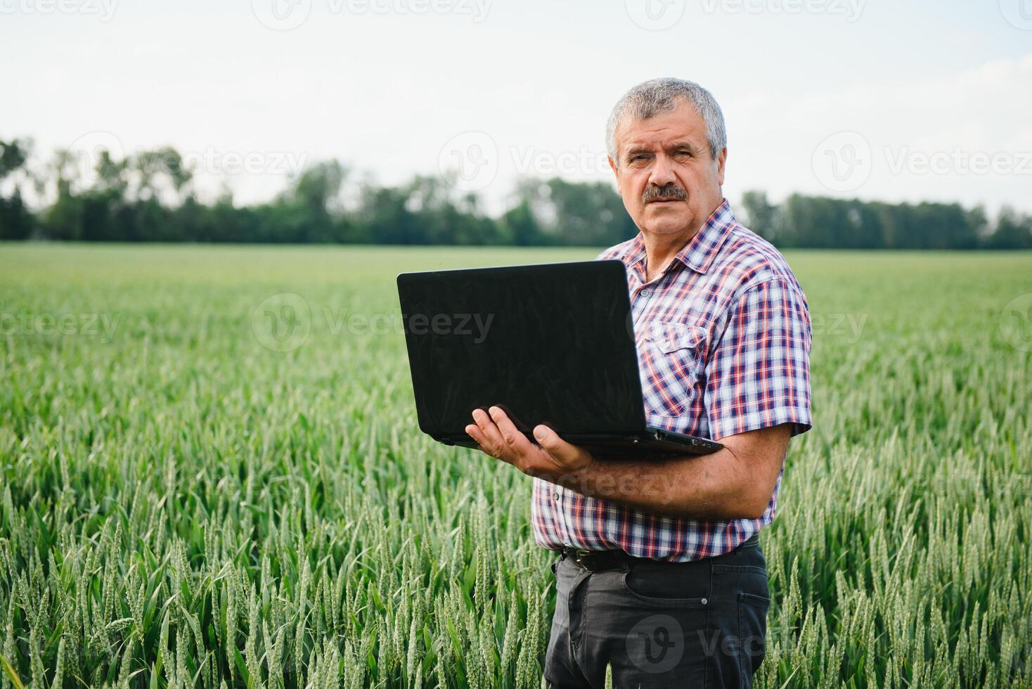 anziano contadino nel archiviato l'esame giovane Grano corp e guardare a il computer portatile. foto