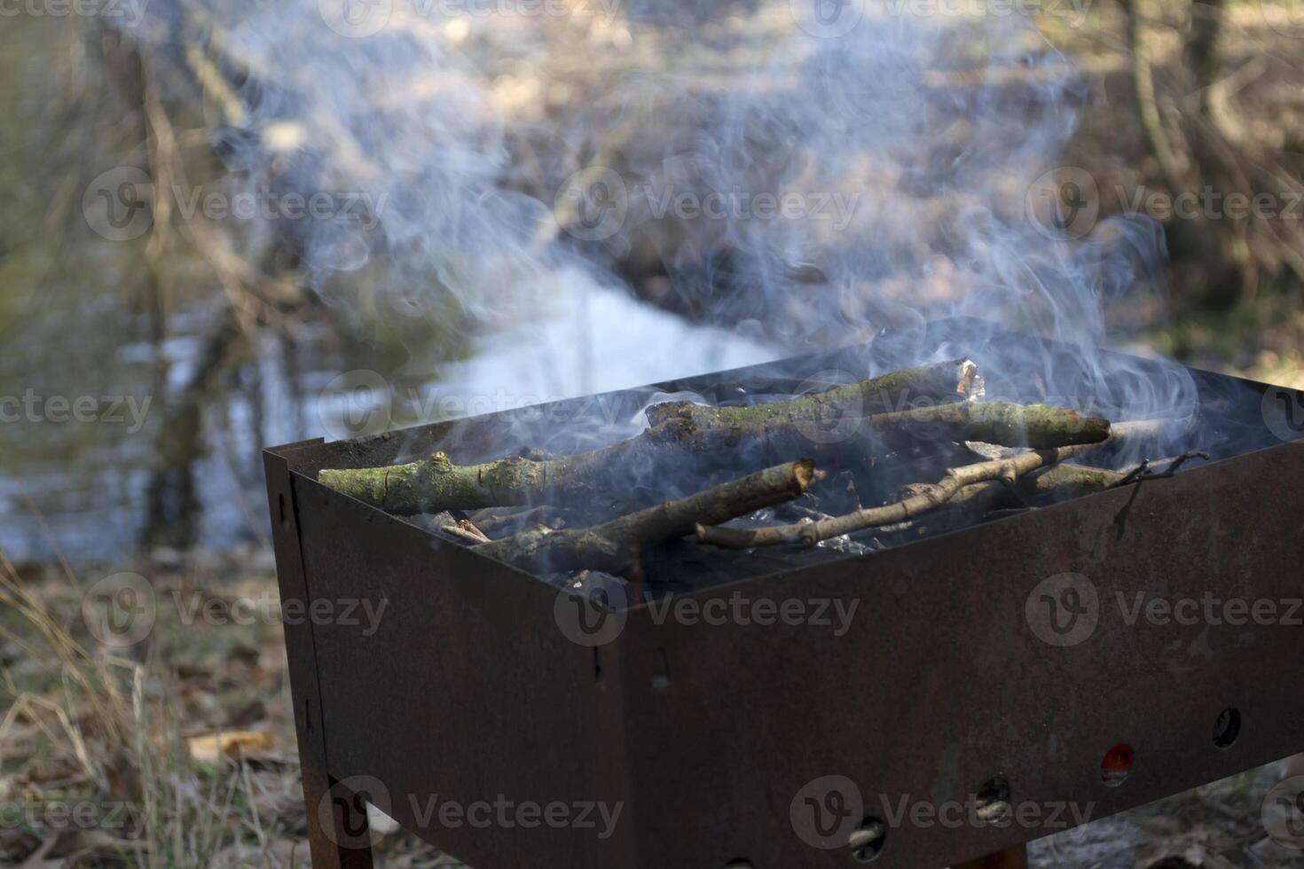 barbecue griglia all'aperto. foto