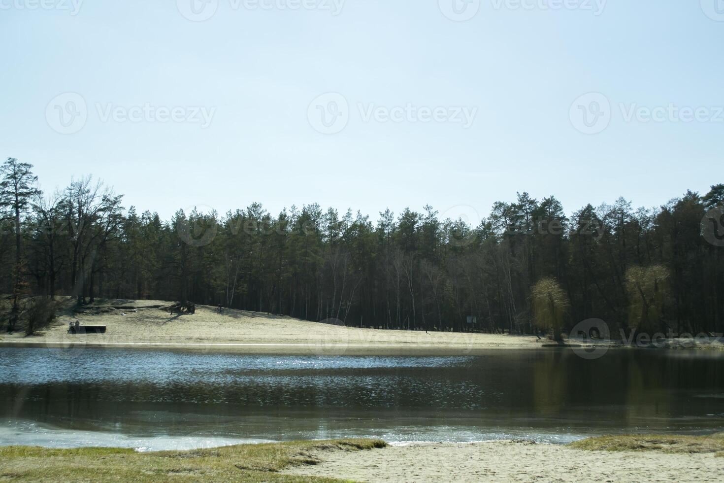 foresta paesaggio a primavera. luce del sole tempo atmosferico. foresta lago. foto