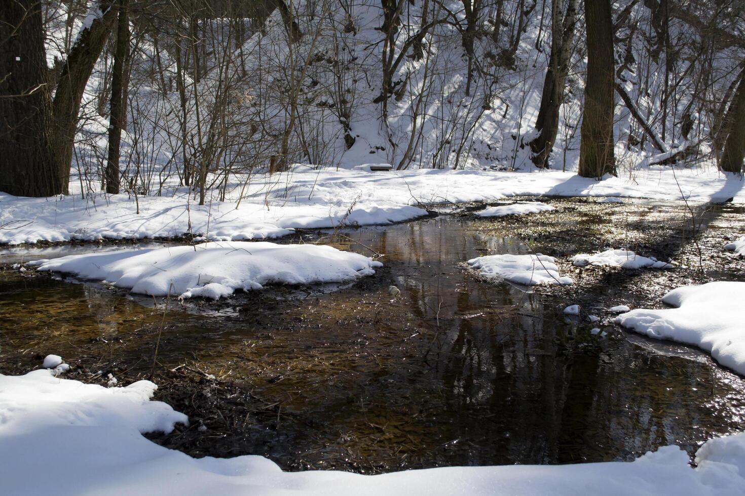 il neve fusione vicino il fiume nel foresta. foto