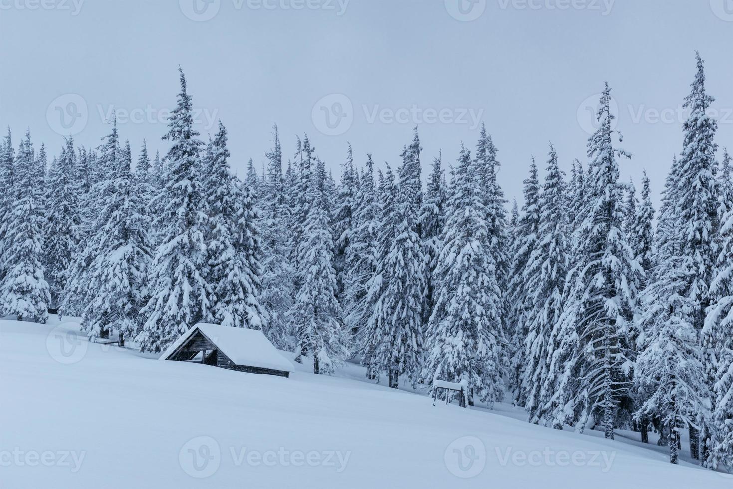 bosco innevato nei Carpazi. una piccola casa di legno accogliente ricoperta di neve. il concetto di pace e svago invernale in montagna. Buon anno foto